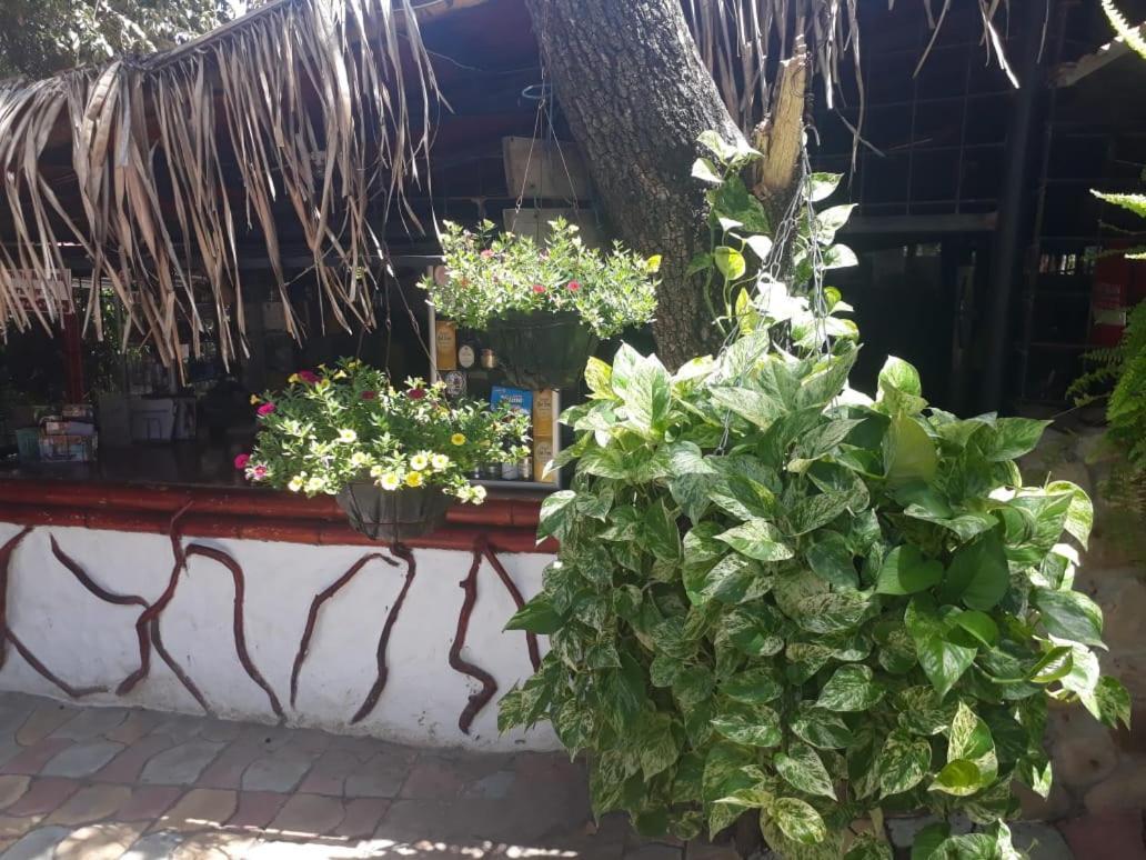 Hotel El Penon De Constantino - Tatacoa Villavieja Exterior foto